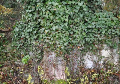 Měcholupy, Omnium, 2020