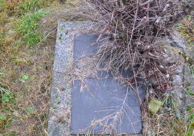 Měcholupy, Omnium, 2020