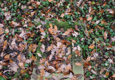 Měcholupy, Omnium, 2020