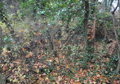 Měcholupy, Omnium, 2020