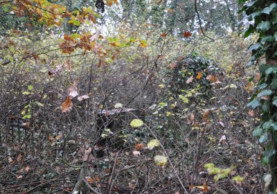 Měcholupy, Omnium, 2020