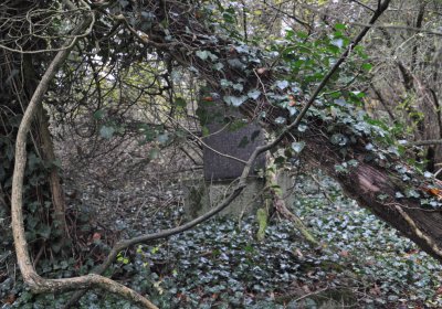 Měcholupy, Omnium, 2020