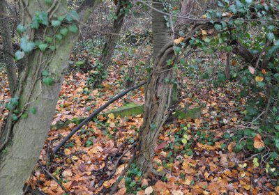 Měcholupy, Omnium, 2020