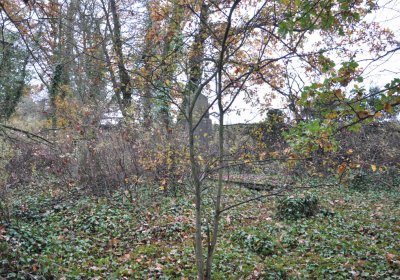 Měcholupy, Omnium, 2020