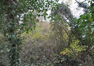 Měcholupy, Omnium, 2020