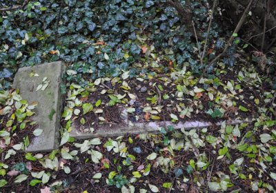 Měcholupy, Omnium, 2020