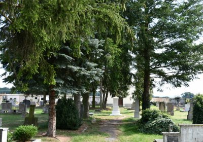 Vroutek městský, Omnium, 2020