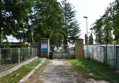 Vroutek městský, Omnium, 2020