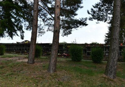 Vroutek městský, Omnium, 2020