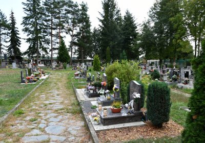 Vroutek městský, Omnium, 2020