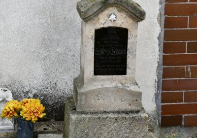 Vroutek městský, Omnium, 2020