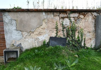 Vroutek městský, Omnium, 2020