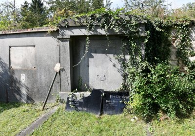 Vroutek městský, Omnium, 2020