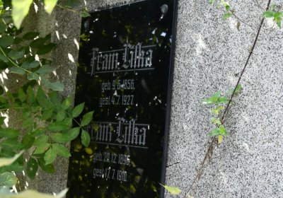 Vroutek městský, Omnium, 2020