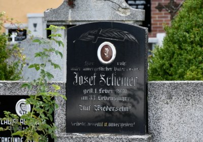 Vroutek městský, Omnium, 2020