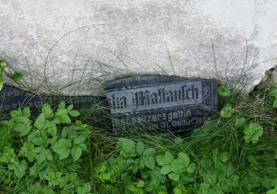 Vroutek městský, Omnium, 2020