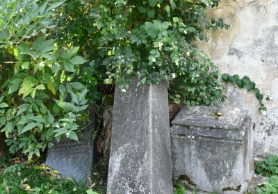 Vroutek městský, Omnium, 2020