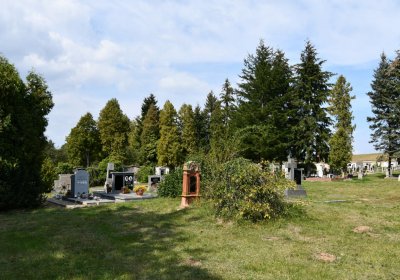 Vroutek městský, Omnium, 2020