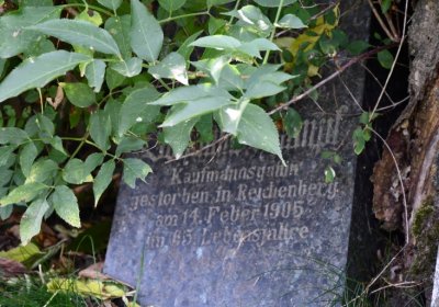 Vroutek městský, Omnium, 2020