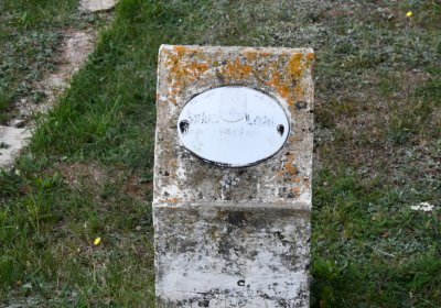 Vroutek městský, Omnium, 2020