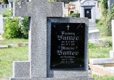 Vroutek městský, Omnium, 2020