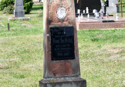 Vroutek městský, Omnium, 2020