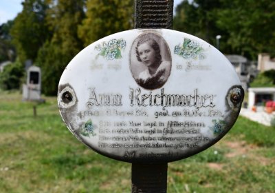 Vroutek městský, Omnium, 2020