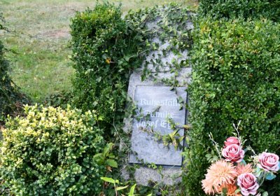 Vroutek městský, Omnium, 2020