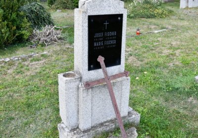 Vroutek městský, Omnium, 2020