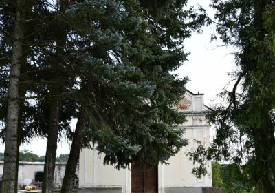 Vroutek městský, Omnium, 2020