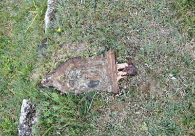 Vroutek městský, Omnium, 2020