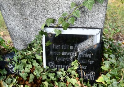 Vroutek městský, Omnium, 2020