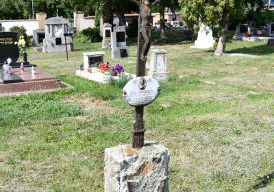 Vroutek městský, Omnium, 2020