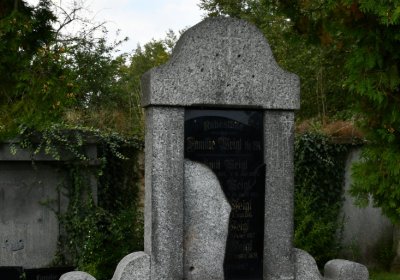 Vroutek městský, Omnium, 2020