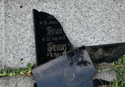 Vroutek městský, Omnium, 2020