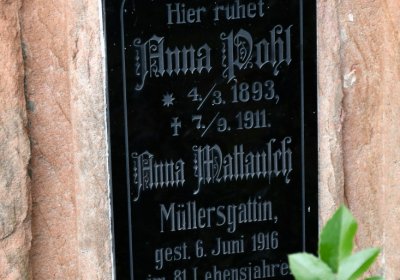 Vroutek městský, Omnium, 2020