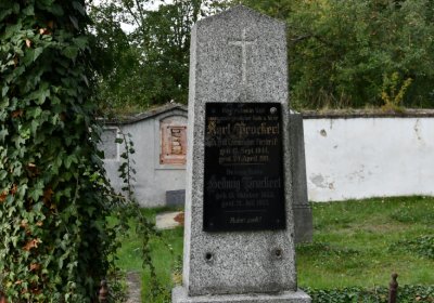 Vroutek městský, Omnium, 2020