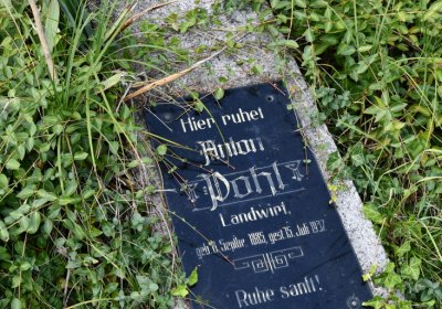 Vroutek městský, Omnium, 2020