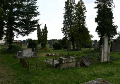 Vroutek městský, Omnium, 2020