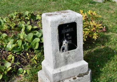 Skytaly, Omnium, 2020