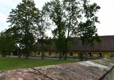 Skytaly, Omnium, 2020