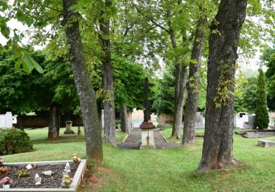 Blšany, Omnium, 2020