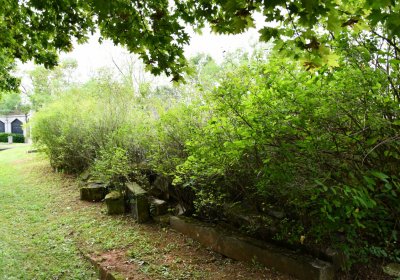 Blšany, Omnium, 2020