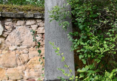 Blšany, Omnium, 2020