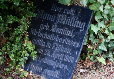 Blšany, Omnium, 2020