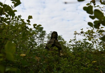 Blšany, Omnium, 2020