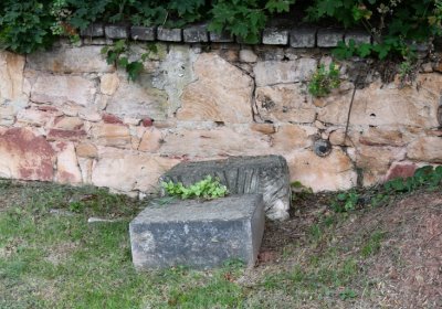 Blšany, Omnium, 2020