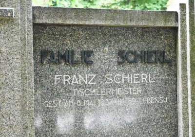 Blšany, Omnium, 2020