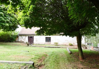 Blšany, Omnium, 2020