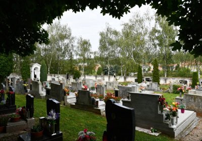 Blšany, Omnium, 2020